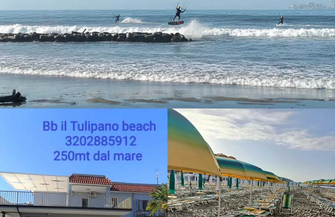 b&b il Tulipano beach Formia-1